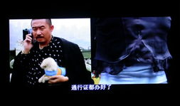 国产之精品视频,匠心独运，光影盛宴